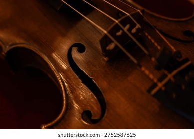 Close-up of Classical Violin Strings and Tailpiece with Warm Ambient Lighting