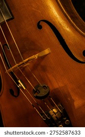 Close-up of Classical Violin Strings and Tailpiece with Warm Ambient Lighting