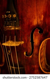 Close-up of Classical Violin Strings and Tailpiece with Warm Ambient Lighting