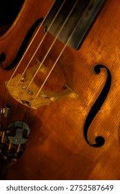 Close-up of Classical Violin Strings and Tailpiece with Warm Ambient Lighting