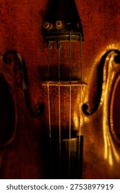 Close-up of Classical Violin Strings and Tailpiece with Warm Ambient Lighting