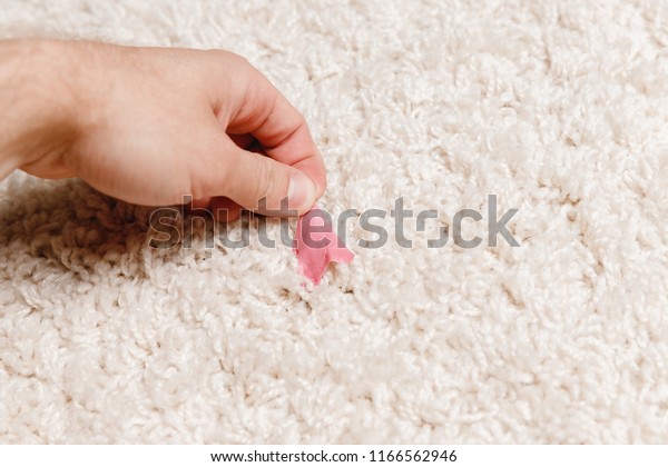 Closeup Clean Chewing Gum Pile Carpet Stock Photo Edit Now 1166562946