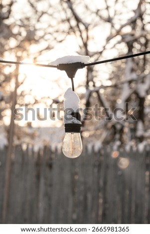 A close-up of a clear outdoor string light bulb covered in fresh snow, glowing softly in the winter sunlight with a blurred wooden fence and trees in the background