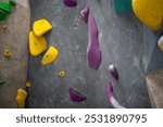 Closeup of climbing holds on gray wall in gym. Full frame of artificial rock-climbing wall with colorful handles. 