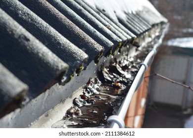 A close-up of a clogged rain gutter of an asbestos roof with water, leaves, and dirt. Cleaning a dirty and clogged roof gutter to prevent the house water damage.