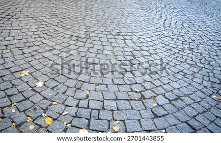 A close-up of cobblestone pavement featuring a circular pattern, with scattered yellow leaves accentuating the texture.