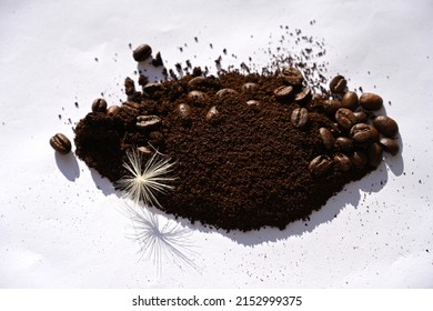 A Closeup Of Coffee Beans And Pulp On A White Table