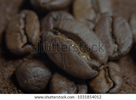 closeup of a coffeebean