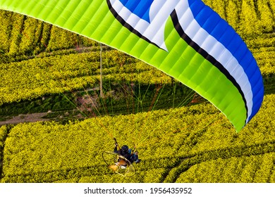 Un paramoteur en gros plan coloré (parachute motorisé) survolant les champs de colza au printemps. département d'Essonne, région Ile-de-France, France