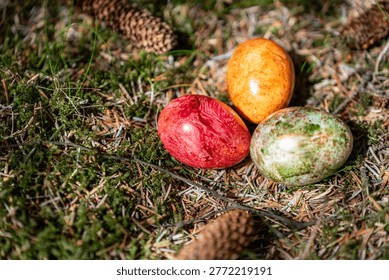 Close-up of colourful Easter eggs resting on a forest floor among pinecones, moss, and natural textures, capturing seasonal tradition and springtime atmosphere.