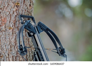 Close-up Of A Compound Crossbow With Hunting Arrow On The Rail.