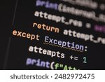 Close-up of a computer screen showing programming code with exception handling.