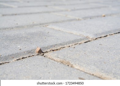 Close-up concrete cement rectangular road tile