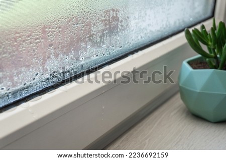 Close-up of condensation on PVC window, white plastic window, houseplant on the background, selective focus. Indoor plants and humidity concept.