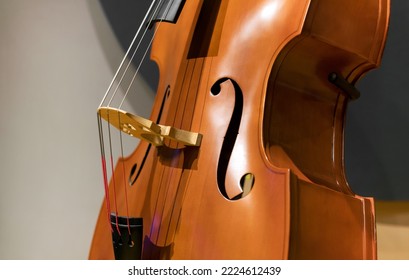 Closeup contrabass with thick strings installed on stage during rehearsal in music studio
