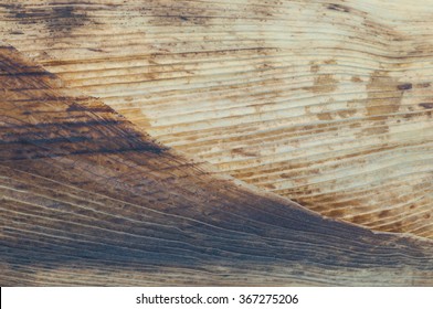 Closeup Of Corn Husk Texture Or Abstract Background. Corn Husk Grill To Burnt, Food Of Thailand.