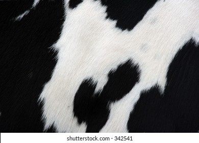 Close-up Of Cow Hide