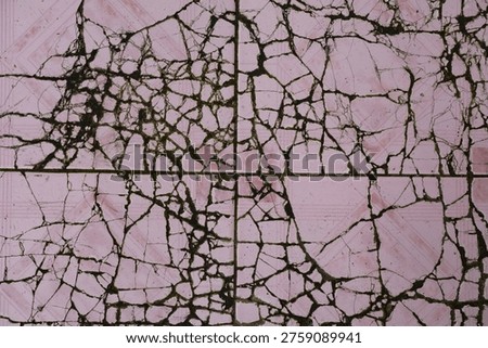 Close-up of cracked paint with grid pattern