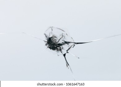 Closeup  of cracked windshield with fissure lines, abstract background with copy space. Broken windshield/window.