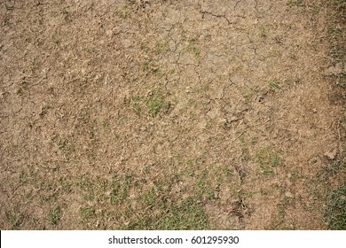 Of Close-up Cricket Pitch Texture Background