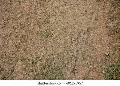 Of Close-up Cricket Pitch Texture Background