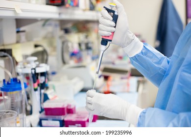 Closeup Cropped Portrait, Scientist Pipetting With Hands, Laboratory Experiments, Isolated Lab Background. Forensics, Genetics, Microbiology, Biochemistry