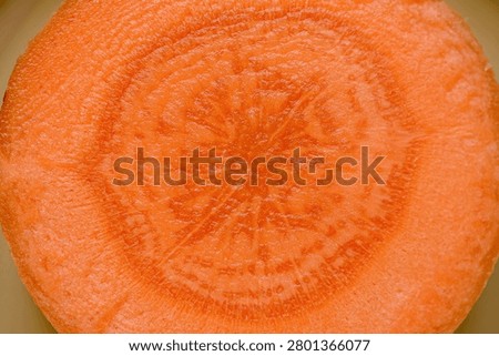 Closeup cross section of carrot taproot revealing concentric rings, vascular bundles, dense orange flesh and fine cellular texture. Moist surface with subtle sheen, studio