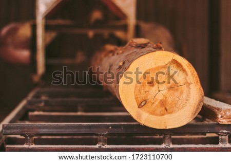 Closeup of cut pine tree log on sawing machine at wood production factory. Timber material processing and cutting at sawmill. Manufacturing process at lumber mill. Sawing woods on power machine