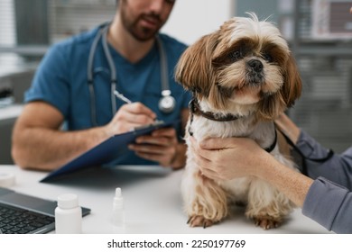 Close-up of cute yorkshire terrier sitting on table by female owner against young male veterinarian making prescription notes in document - Powered by Shutterstock