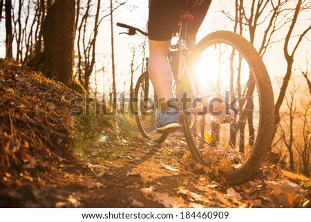 Similar – Image, Stock Photo Autumn forest and mountain lake