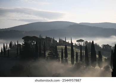 A close-up of cypress trees standing tall against the backdrop of the misty hills in Tuscany. The gentle curves of the terrain and fog add a dreamy quality to the scene - Powered by Shutterstock