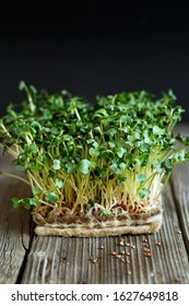 Close-up of Daikon microgreens with seeds and roots on the Jute Microgreens Grow Mats. Sprouting Microgreens on the Hemp Biodegradable Mats. Seed Germination at home. Sprouted winter Radish Seeds. 