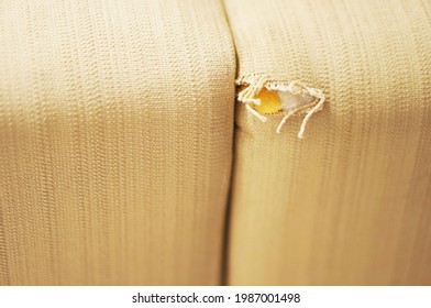 A Close-up Of A Damaged Ripped Couch