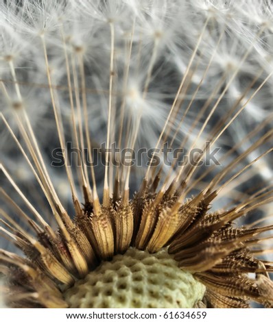 Image, Stock Photo 777 | Spot landing Nature