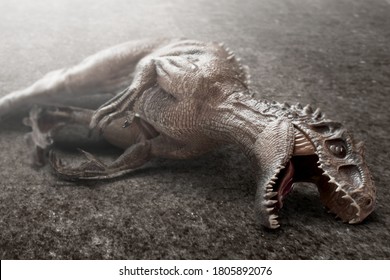 Closeup Of Dead Dinosaur, Tyrannosaurus Rex