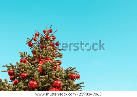 Similar – Oh Tannenbaum Natur Baum