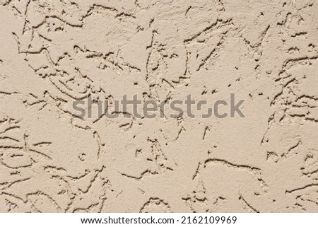 close-up of a decorative plaster wall stylized as a bark beetle