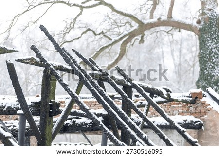 Closeup detail burned down barn covered in snow after a blizzard snowstorm with the black wood and construction carcas contrasting against the white winter landscape