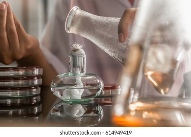 Close-up Detail Of An Ethanol Burner, Also Known As A Spirit Lamp, In A Microbiological Laboratory With Test Tubes In The Background. Science Concept.