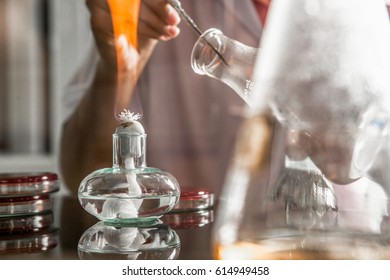 Close-up Detail Of An Ethanol Burner, Also Known As A Spirit Lamp, In A Microbiological Laboratory With Test Tubes In The Background. Science Concept.