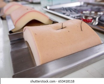 Close-up Detail Of Multiple Trays Of Artificial Skin Used For Practicing Suturing Skills. Surgery And Medical Education Concept.