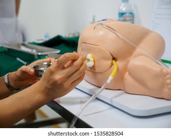 Closeup Detail Of A Physician Practicing A Spinal Block, A Form Of Regional Anesthesia, On Training Dummy. Healthcare And Surgery Concept.