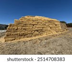 Close-up detail of straw bale. Selective focus. Forage, barley and crop bales stacked in the field. Rectangular wheat stacks in the field. Wrapped straw bales in the field after harvest.