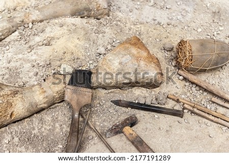 Close-up detail view of archeological excavation digging site with big dinosaurus or mammoth bone remains and different tools brush hummer chisel equipment. Paleontology research background