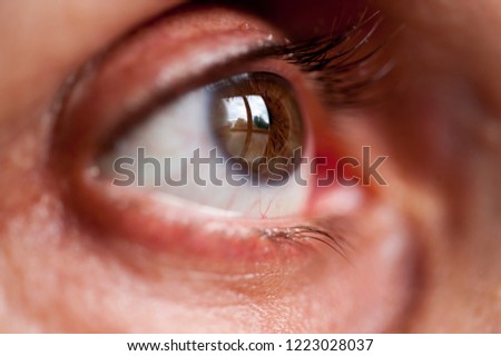 Similar – My look Eyelash Pupil