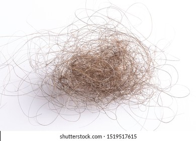A closeup and detailed view on a clump of mangled human head hair, brown and grey hairs fallen from a woman's head, natural aging and menopause concepts. - Shutterstock ID 1519517615