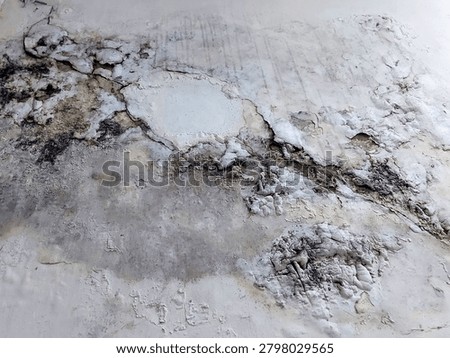 Close-up of a deteriorated wall affected by water damage, featuring peeling paint, cracked plaster, mold growth, and mineral deposits. The rough textured surface shows signs of long-term moisture infiltration, decay, and structural deterioration. Ideal for concepts related to building maintenance, renovation, property damage, humidity problems, construction defects, and grunge backgrounds