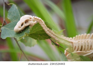 close-up dinosaur head eats a tree leaf
