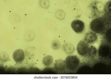 Close-up Dirty Chardonnay Color Background