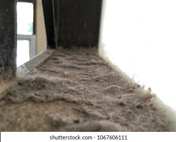 Household Dust Images Stock Photos Vectors Shutterstock